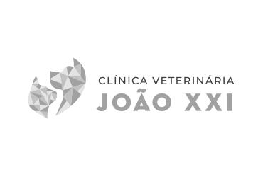 clinica veterinaria joao xxi