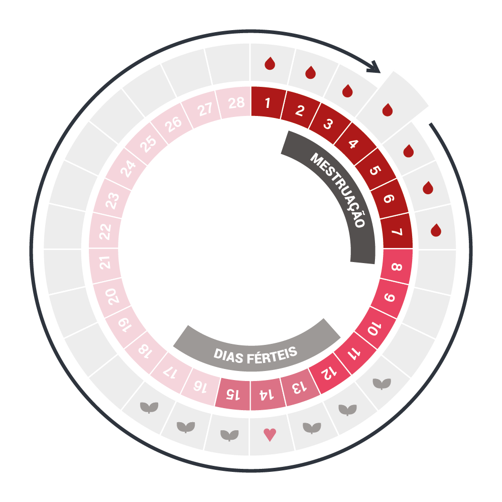 ciclo menstrual