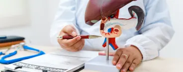 necessário limpar o fígado