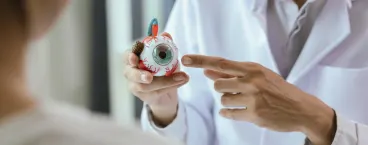 oftalmologista com modelo anatómico de olho