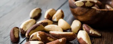 castanhas do pará