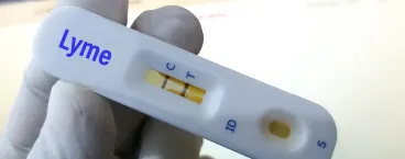 dispositivo de teste para doença de lyme