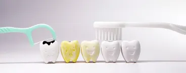 vários moldes de dentes