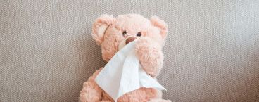 urso de peluche e um lenço de papel