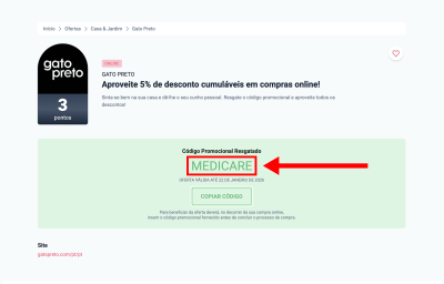 Gato Preto, passo 2: Copie o código