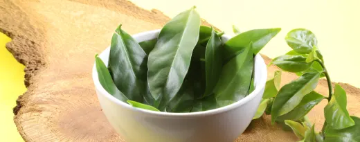 taça com folhas de ora-pro-nóbis