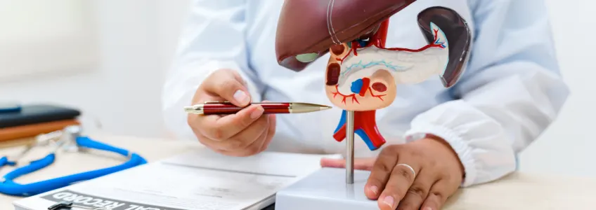 necessário limpar o fígado