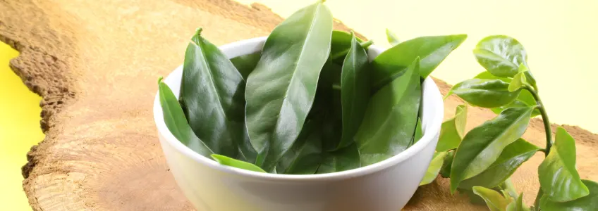 taça com folhas de ora-pro-nóbis