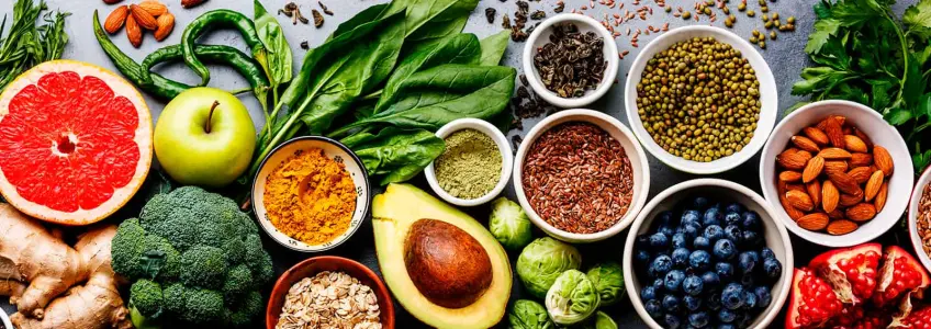 conjunto de alimentos saudáveis