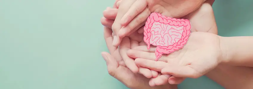 quatro mãos a segurar forma do intestino