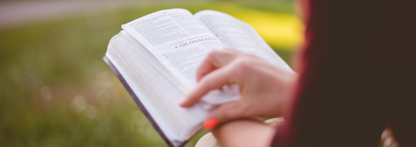 Pessoa a ler no campo um livro