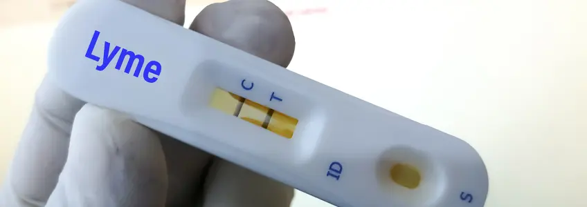 dispositivo de teste para doença de lyme