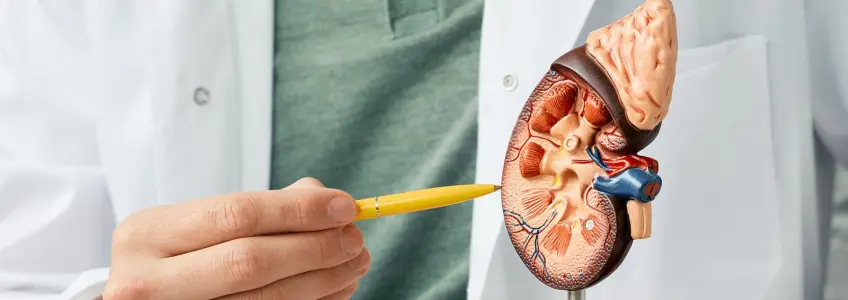 doença renal