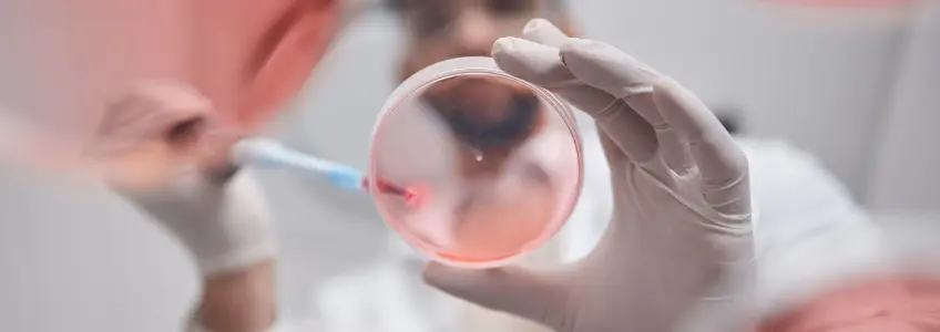 cientista a colocar líquido numa placa de Petri