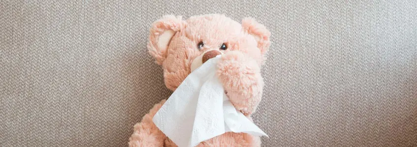 urso de peluche e um lenço de papel