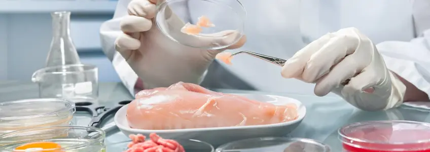 investigador a observar alimentos no microscópio
