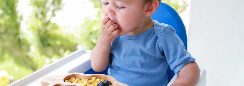 bebé a comer mirtilos e milho com a mão