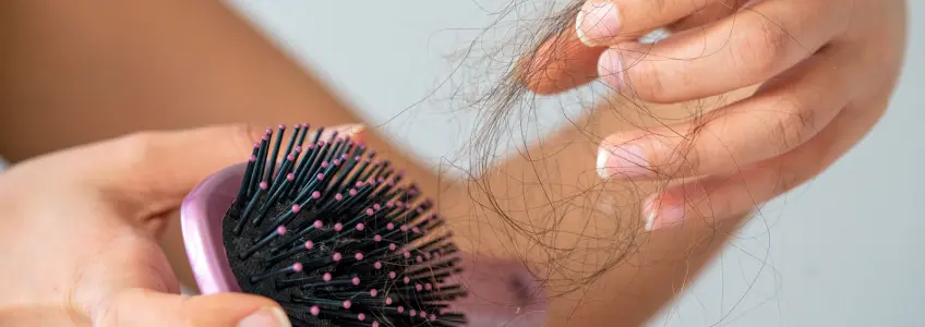 escova de cabelo com cabelos